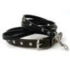 Studded leather collar and leash