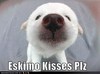 Eskimo kisses!