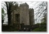 Bunratty Castle trip