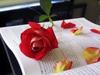 sharing a love story with u