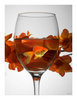 Goldfish in a Glass