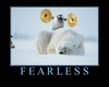 Fearless