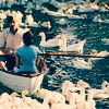 a boat ride on swan lake.