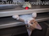 compu cat for you!!