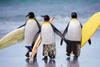 Surfer penguins!