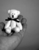 I Got You a Tiny Teddy Bear... 