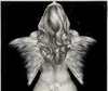 Angel wings