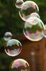 blowing bubbles on your page... 
