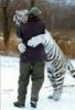 Tiger Hug!!!