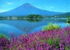 a Trip to Mount Fuji