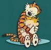 *Hobbes* Hug
