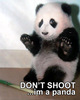 DON'T SHOOT!