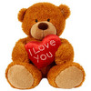 i love you teddy bear