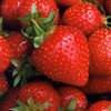 juicy strawberry 
