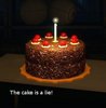 The Cake is a Lie
