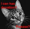 I Can Has Donation?