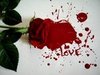 been bleeding love