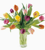 Arrangement of Tulips