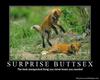 surprise~buttsme x