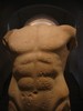 A well-sculpted torso