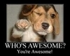 Who's Awesome?