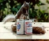 drinking squirrel