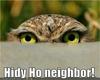 hi neighbor