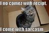 sarcasm cat 