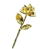 24K Gold Valentine Rose