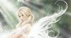White fairy