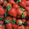 Hand fed strawberries xxx