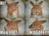a bunny hug