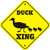 a duck crossing