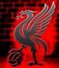 a flaming liverbird