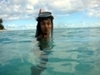 Snorkeling in Mauritious