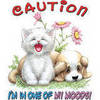 Caution! I'm In One Of My Moods