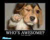 Your Awesome!!!