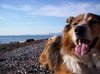 a sunny day at the beach