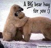 a big bear hug :)
