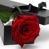 perfect rose 4 a perfect sum1 :)