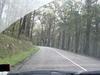a drive in the forrest with me