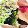 Frog's Kiss