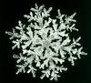 beautiful snowflake
