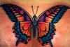 Butterfly Tattoo