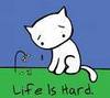 Life is hard..