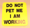 do not pet me im working! lol