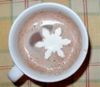 Hot Cocoa with Marshmallow