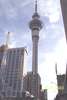 Auckland New Zealand Skytower