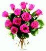 12  Cute Pink Roses