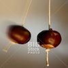 A Game Of Conkers